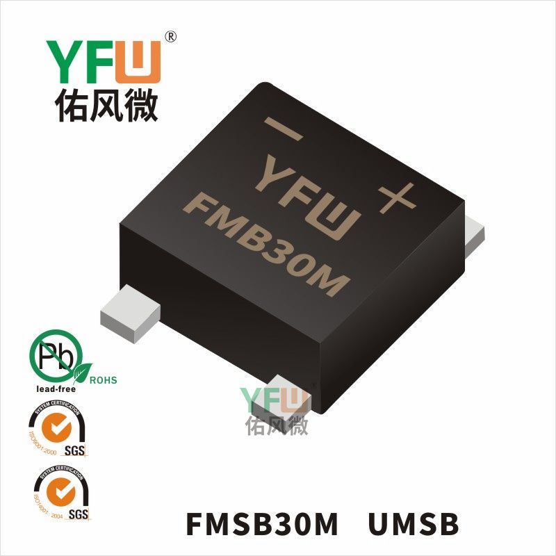 FMSB30M UMSB_Fast Recovery Rectifier Bridge_YFW brand